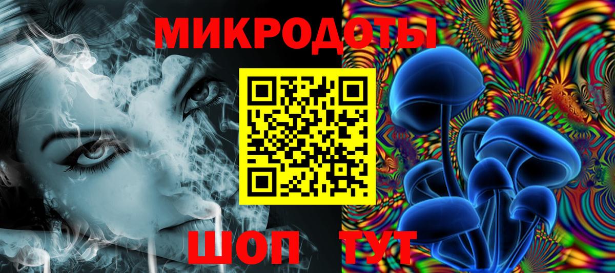 Нерюнгри  Галлюциногенные грибы Psilocybine cubensis  Вход с VPN 